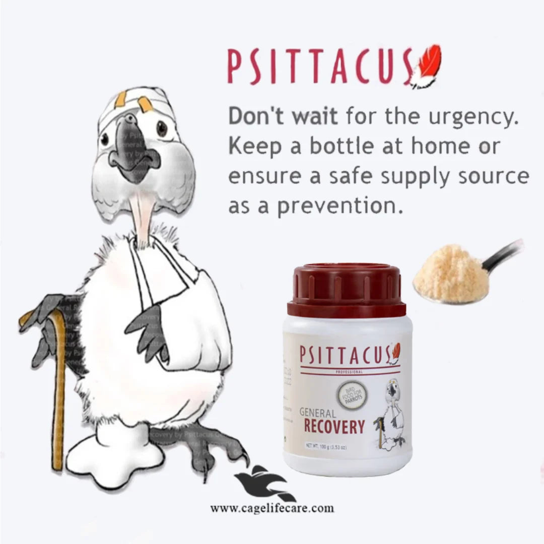 Psittacus General Recovery – Nutritional Support for Sick or Injured Birds