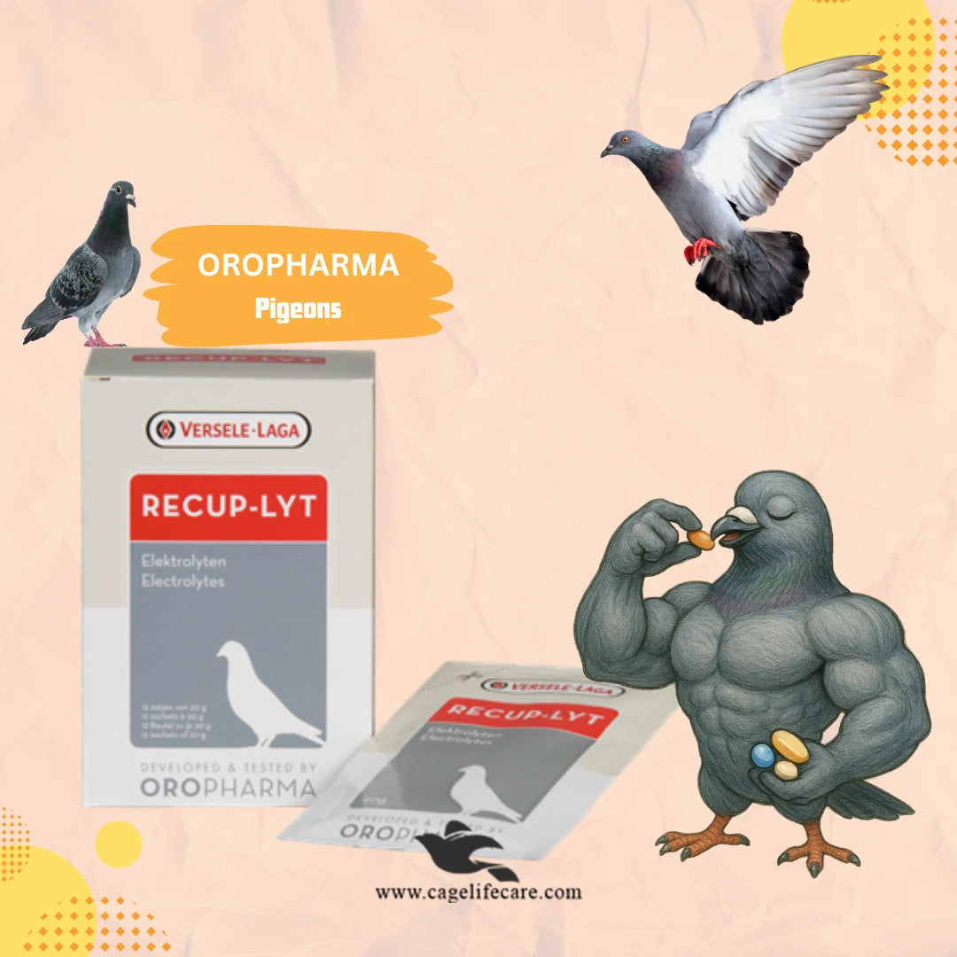 RECUP-LYT – Recovery & Electrolyte Supplement for Pigeons (Versele-Laga)