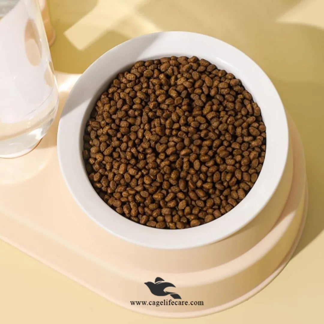 Rabbit Face 2-in-1 Pet Bowl for Cats and Dogs – Front View