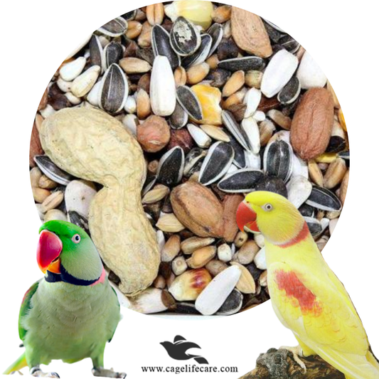 Raw Parrot Seed Mix
