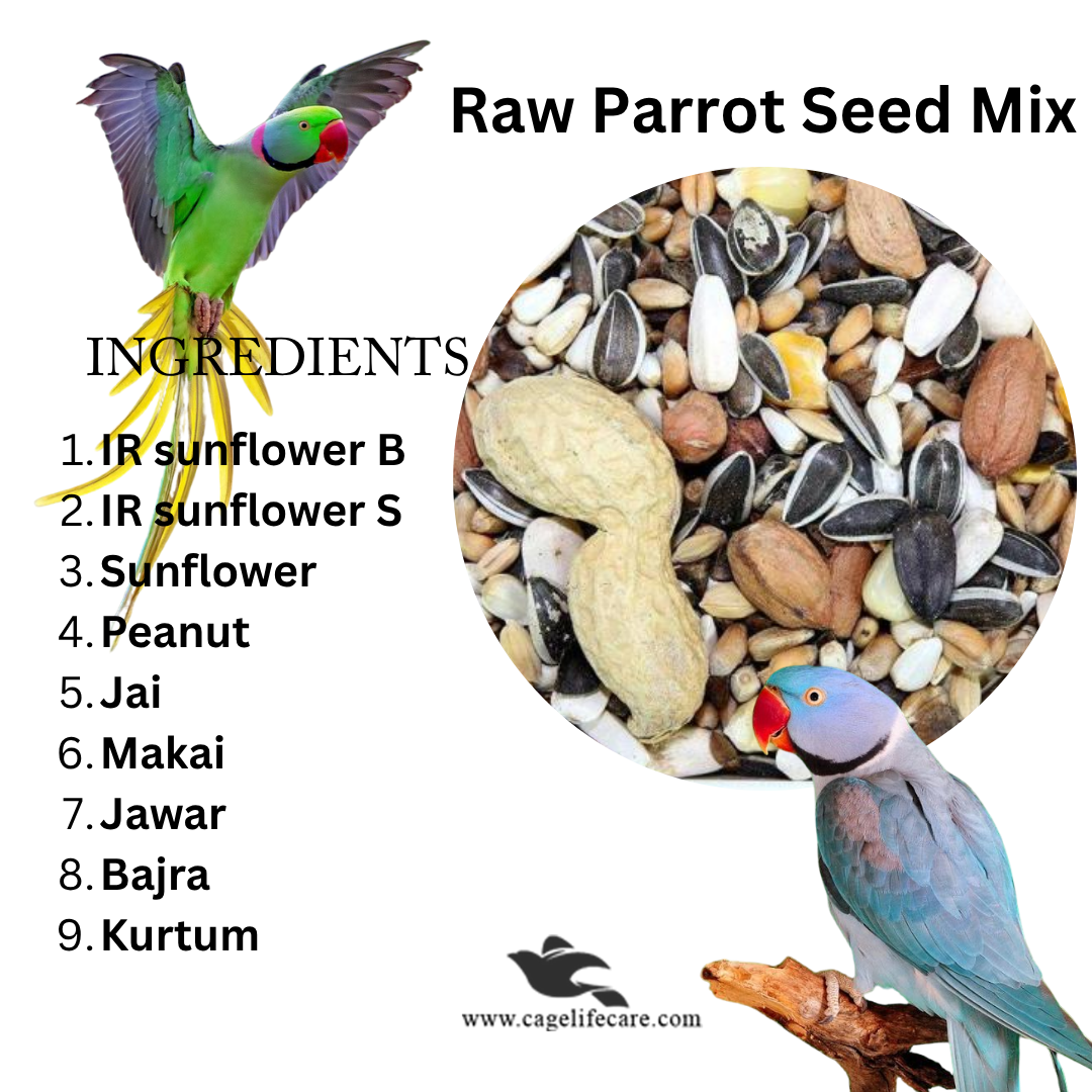 Raw Parrot Seed Mix