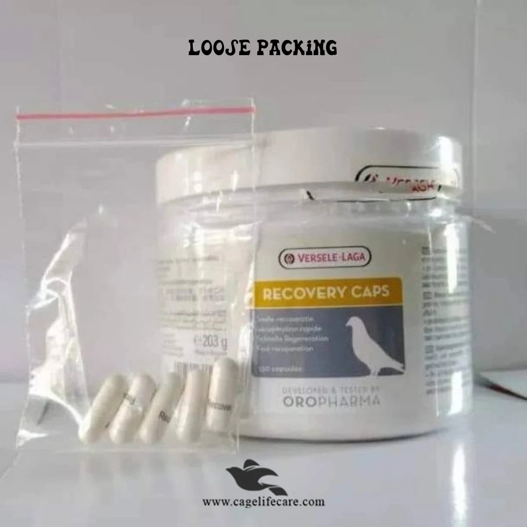 Recovery Caps for Pigeons – Fast Recovery & Health Support Pigeons Capsules