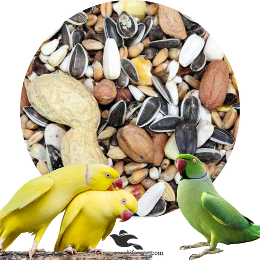 Ring Neck Parrot Seed Mix