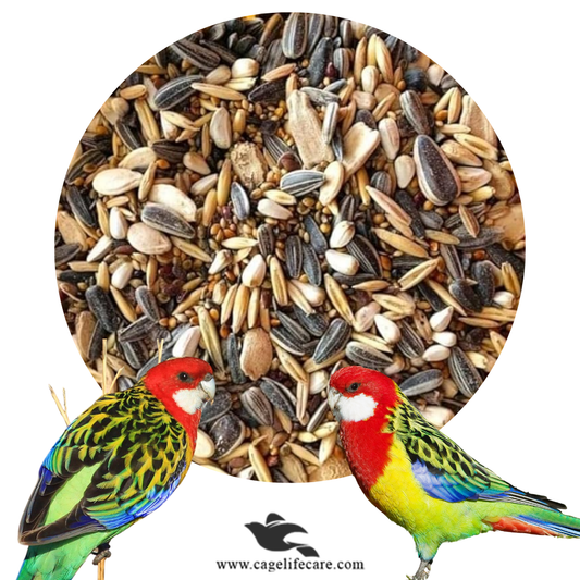 Rosella Parakeets Seed Mix