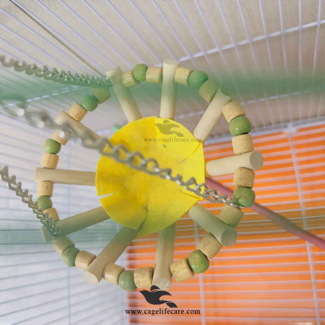 Round Beads Bird Sitting Toy with Natural Wood