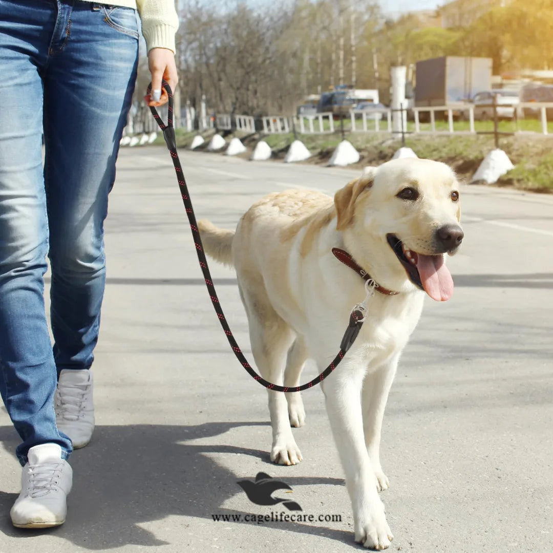 Round Rope Leash for Dogs & Cats – Durable & Comfortable