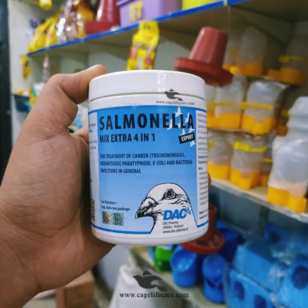 Salmonella 4 in 1 – Treatment of Bacterial Infections in Birds