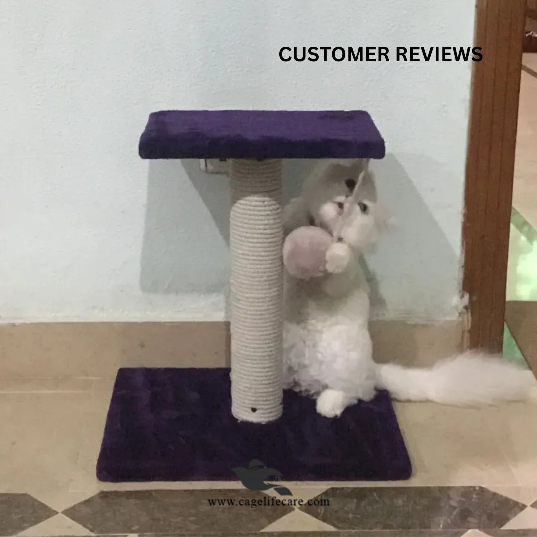 Single Top Cat Scratcher – 46cm with Top Sit & Play Ball