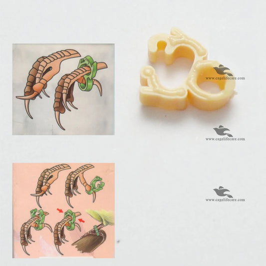 Slip Claw Treatment for Finches and Canaries - Treatment Guide