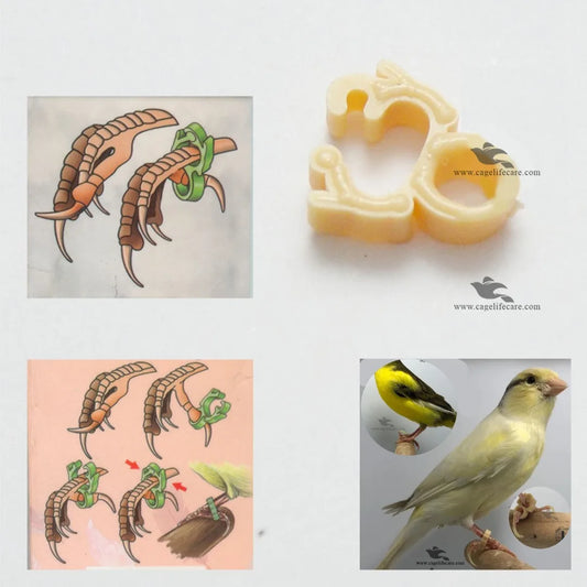 Slip Claw Treatment for Finches and Canaries