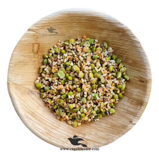 Soaked & Sprouted Seed Mix for Parrots