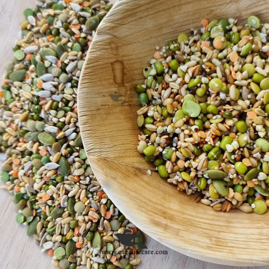 Soaked & Sprouted Seed Mix for Parrots