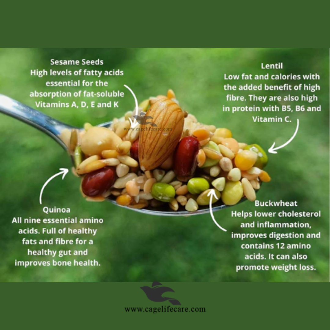 Soaked & Sprouted Seed Mix for Parrots