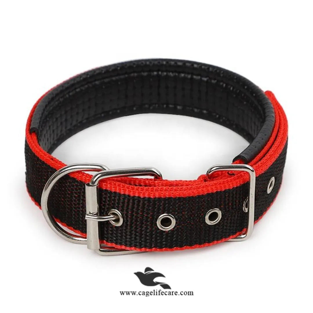 Soft Nylon Dog Collar for Puppies & Dogs – Comfortable, Durable & Adjustable