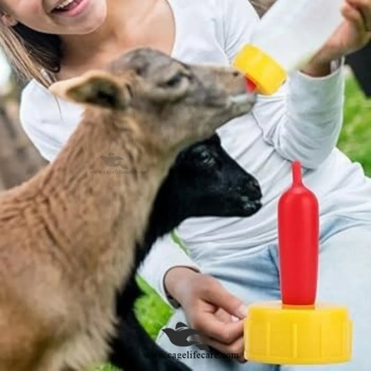 Special Feeding Nipple Drinker – For Lambs, Calves & More for Goats Babies