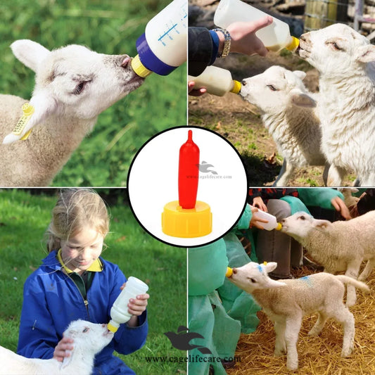 Special Feeding Nipple Drinker – For Lambs, Calves & More
