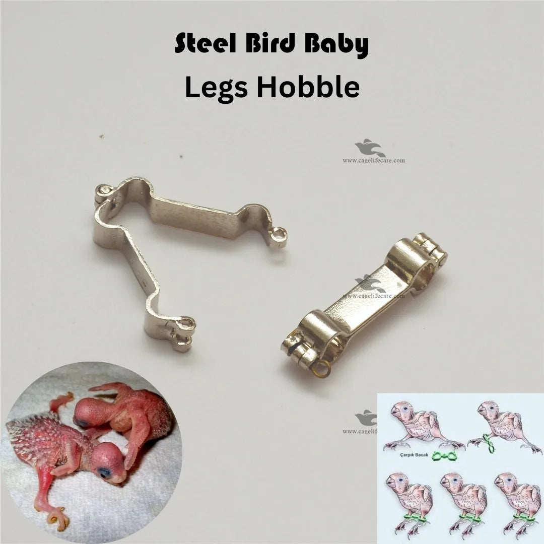 Stainless Steel Bird Leg Hobble – Prevent & Correct Splay Legs - Bird and Paroot Baby Treatment Splayed Legs