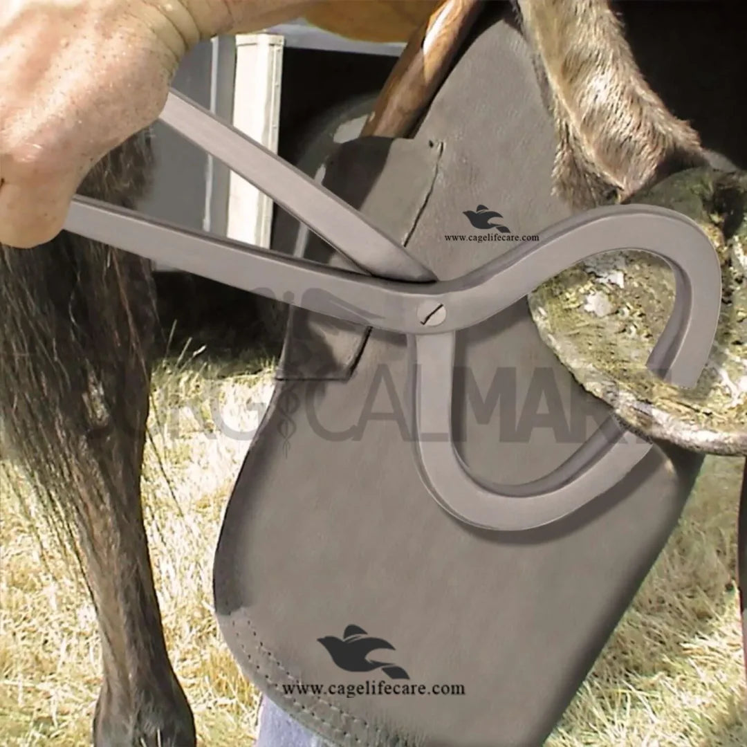 Livestock hoof care tool stainless steel