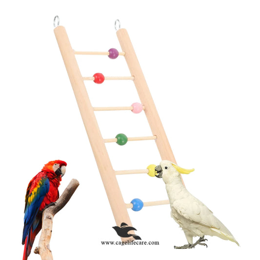 Stiff Totority wooden bird climbing ladder toy for parrots