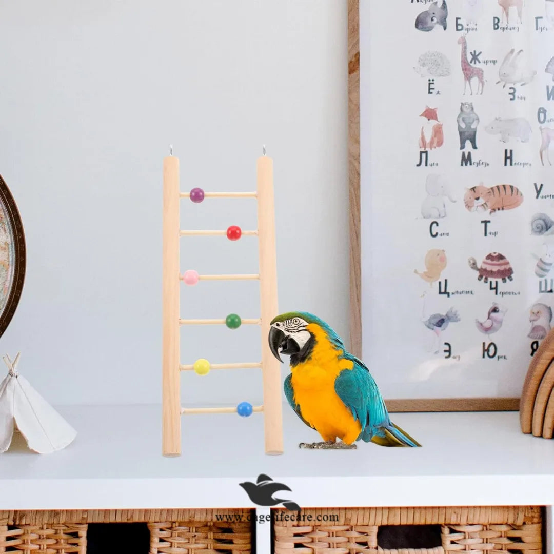 Stiff Totority Wooden Bird Climbing Ladder Toy – Natural Wood Ladder for Parrots & Birds