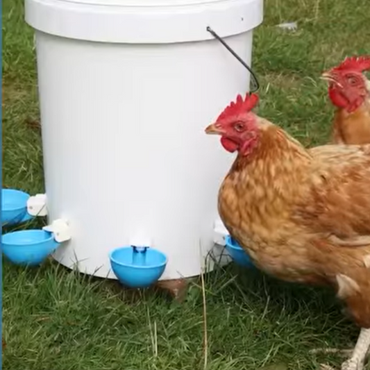 Straight Nozzle Water Auto Cup for Birds & Poultry, Pigeons & Ground Birds