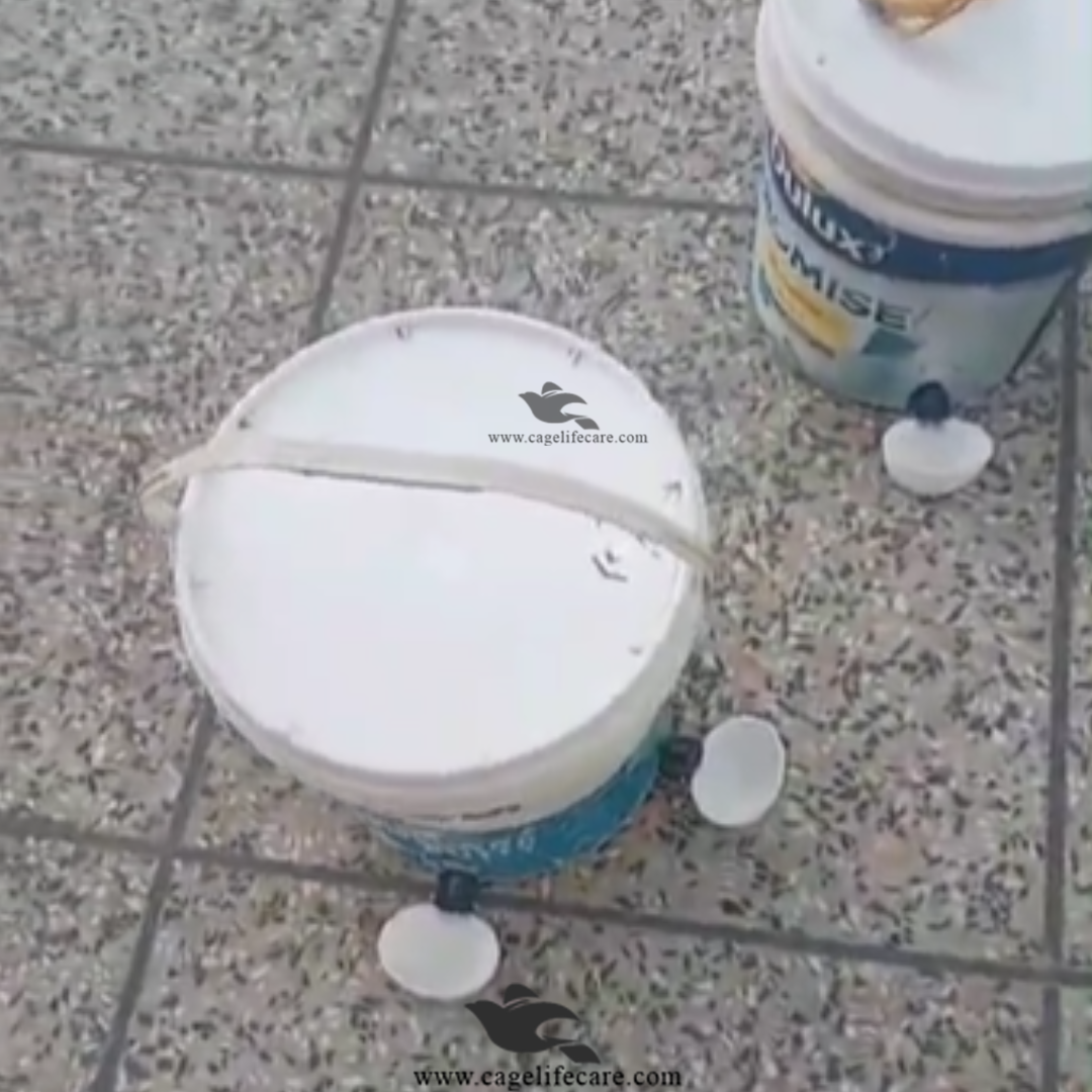 Straight Nozzle Water Auto Cup for Birds & Poultry, Pigeons & Ground Birds