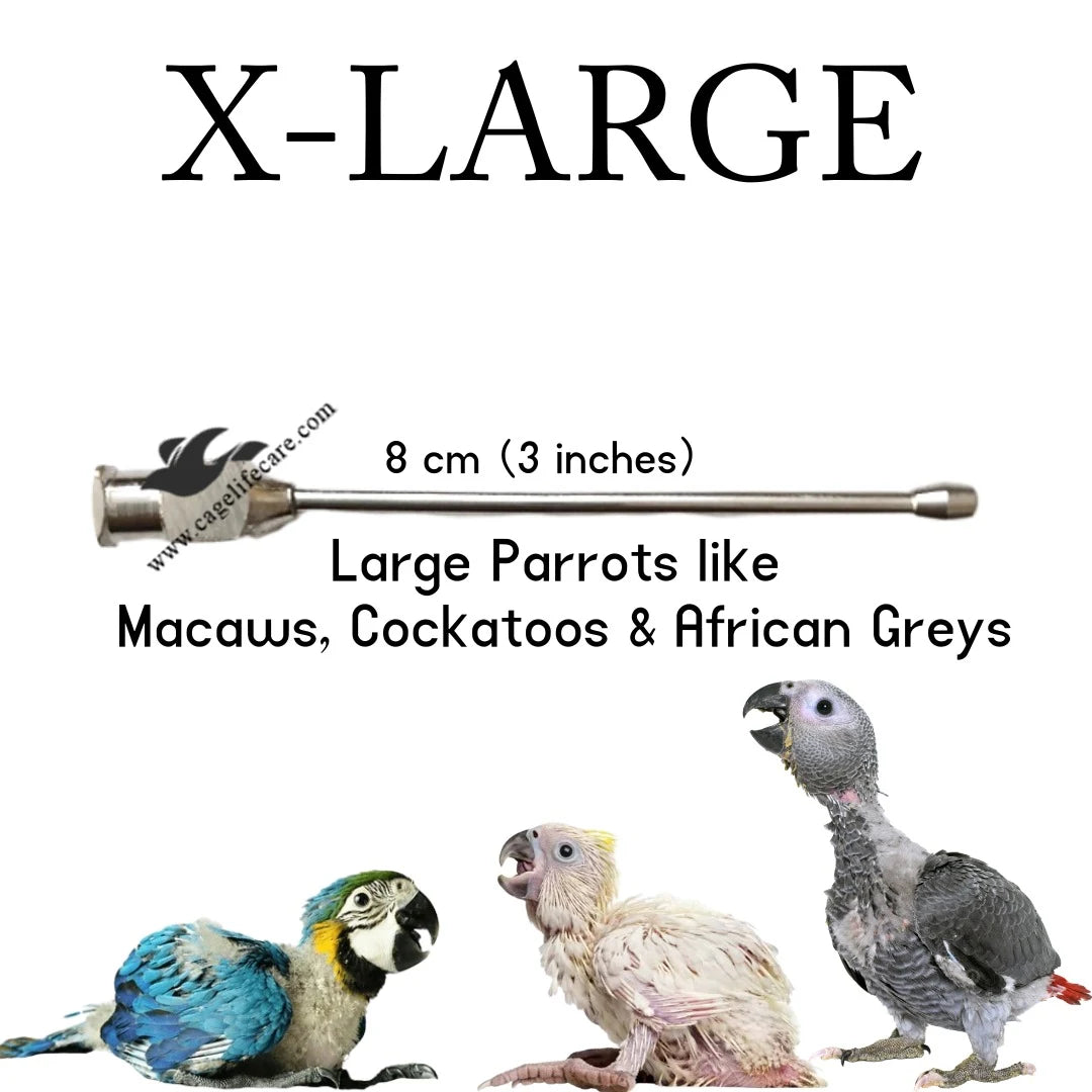 Straight Feeding Crop Needle - Stainless Steel for Bird Hand-Feeding for macaw grey cockatoo electus raw amazon