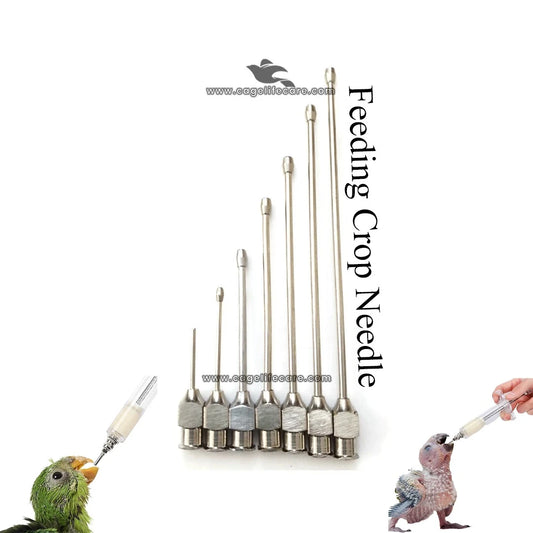 Straight Feeding Crop Needle - Stainless Steel for Bird Hand-Feeding