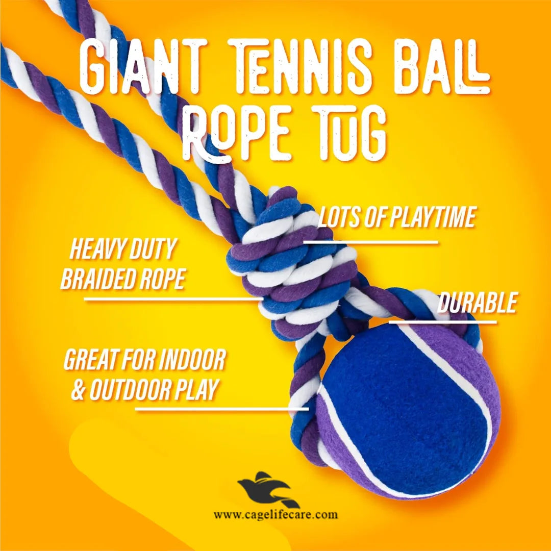 Interactive fetch and tug toy for dogs