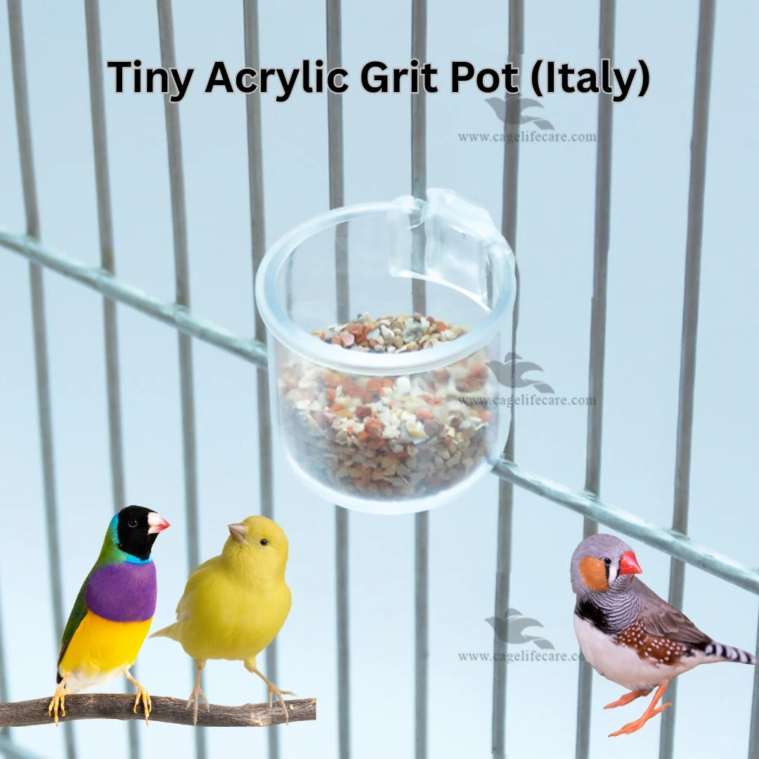 Tiny Transparent Minerals and Grit pot ( italy )