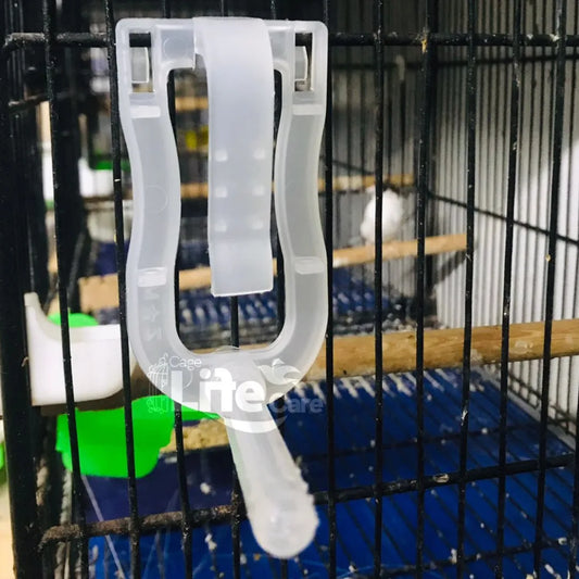 Transparent Cuttlefish Bone Holder – Finch & Canary Feeder