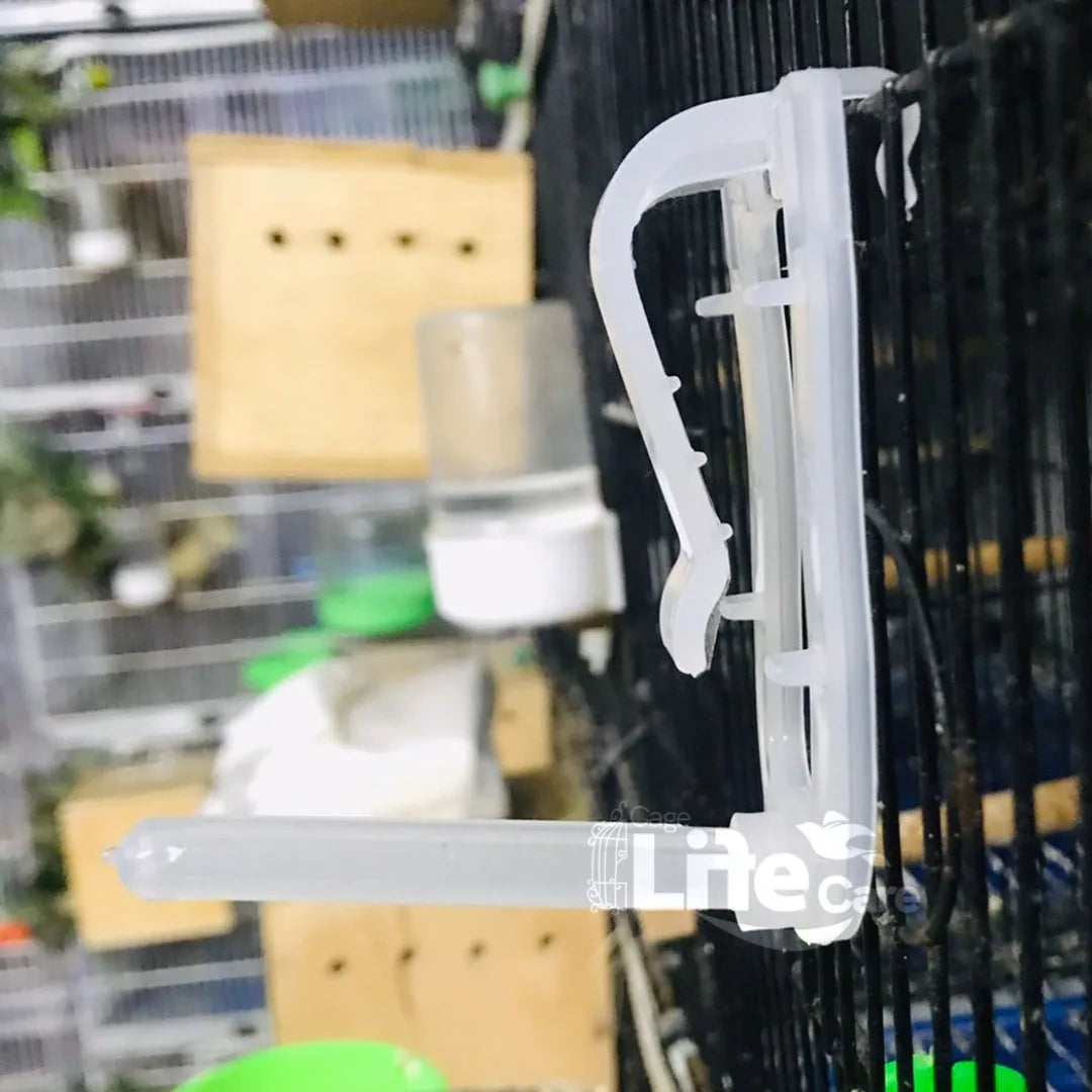 Transparent Cuttlefish Bone Holder – Finch & Canary Feeder