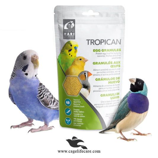 Tropican Egg Granules Protein – Premium Egg Food for Small Birds