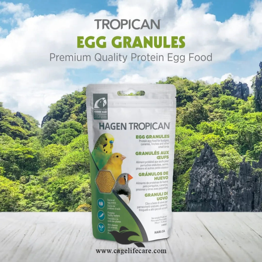 Tropican Egg Granules Protein – Premium Egg Food for Small Birds