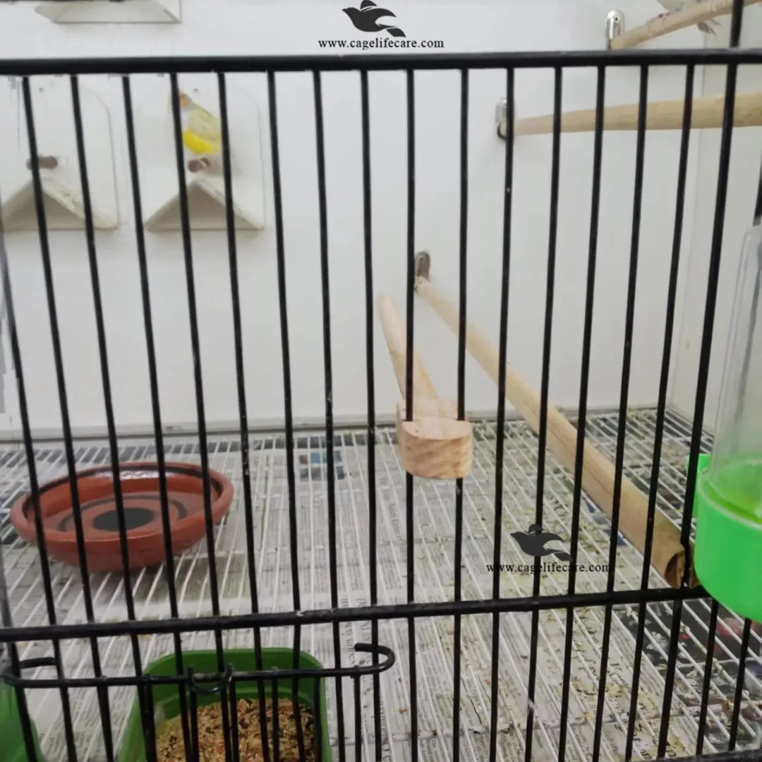 Twist Wooden Perch – Natural Foot-Friendly for Birds Stick real installed image