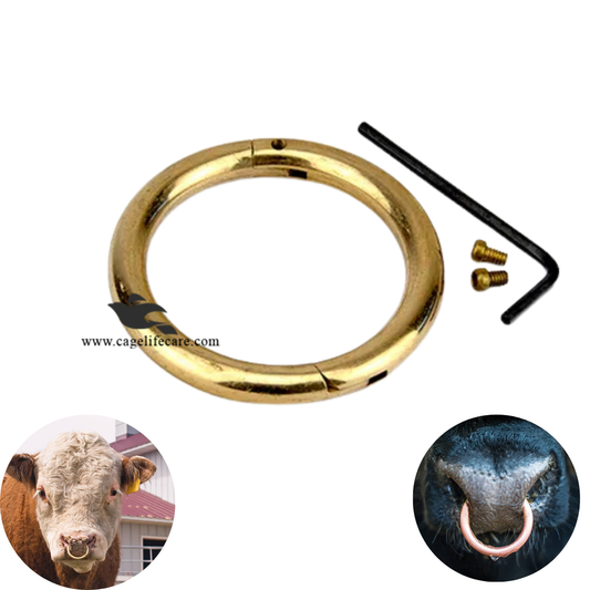 Bull Nose Brass Ring – Livestock Control Tool
