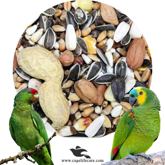 Amazon Parrots Seed Mix