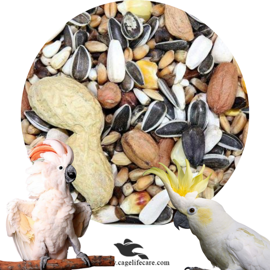 Cockatoo Seed Mix ( All Cockatoos )