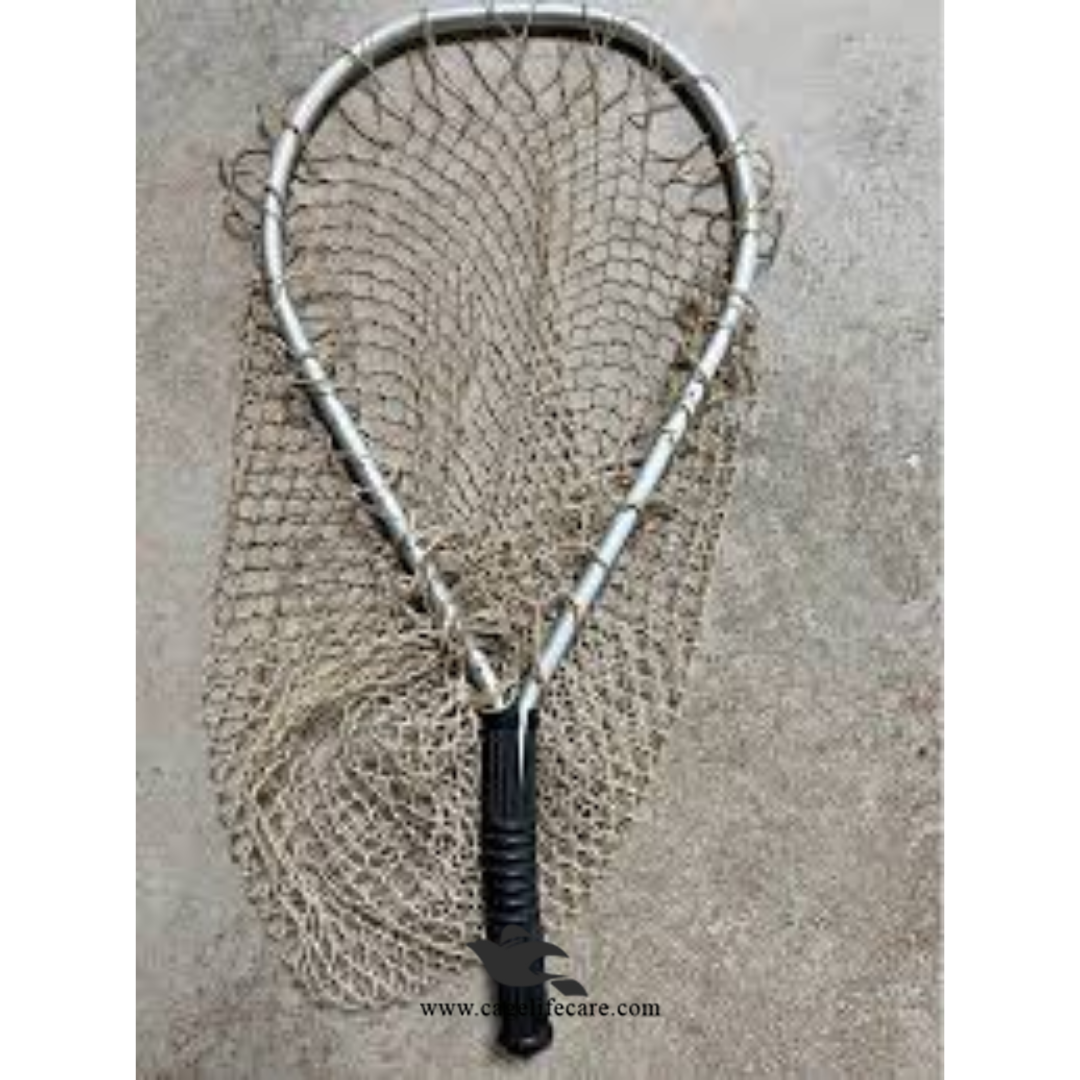 Wooden Pigeon Catcher (Chapka) – High Quality Bird Catching Frame