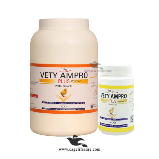 Vety Ampro – Coccidiosis & Bacterial Infection Control for Poultry