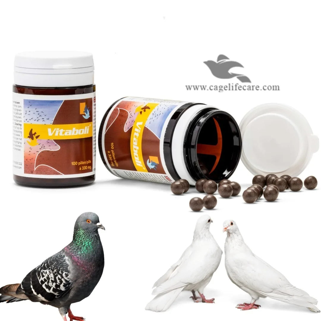 Vitaboli – Enhance Speed, Endurance & Health of Pigeons
