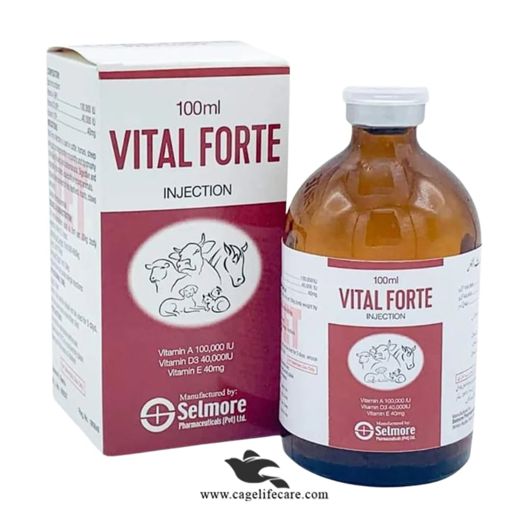 Vital Forte Injection for Calves, Cattle, Goat, Sheep, Horses, Camel