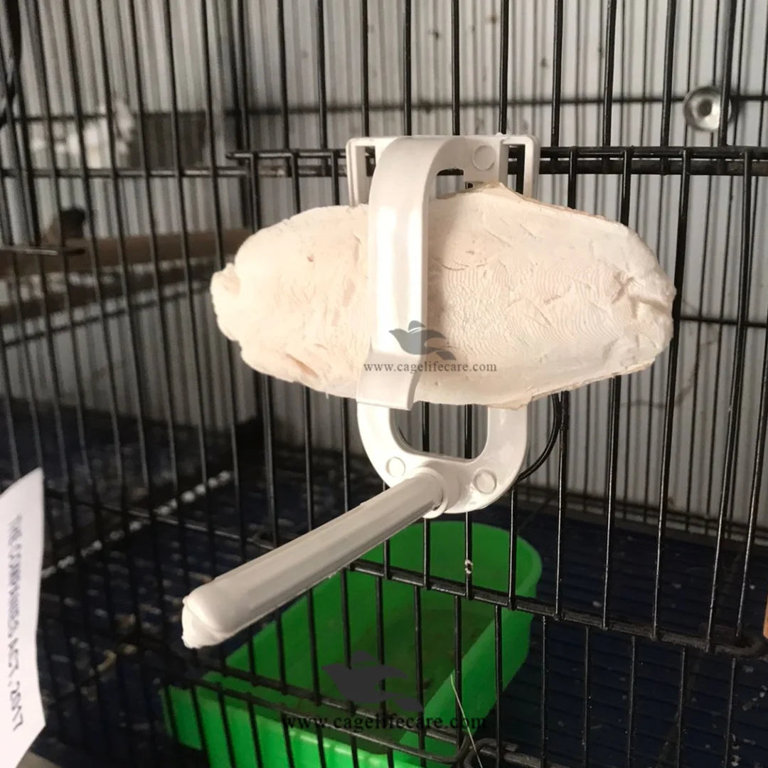 White Cuttlefish Bone Holder with Perch For Parrots, Finches & Small Birds