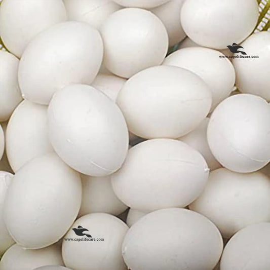 White Dummy Eggs for Hens, Chickens & Ground Birds
