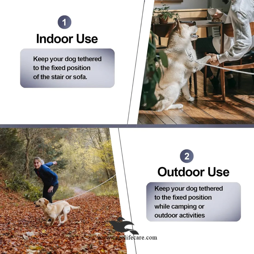 Wire Leash for Pets – Heavy Duty & Durable