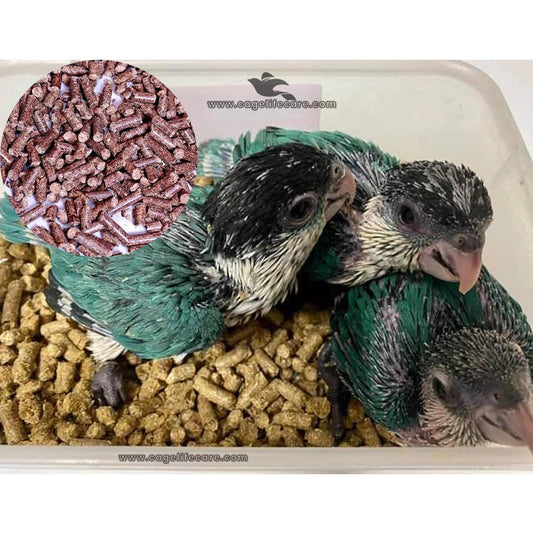 Bedding Pellets for Birds, Pets & Poultry - Dust-Free Wood Bedding Pellets
