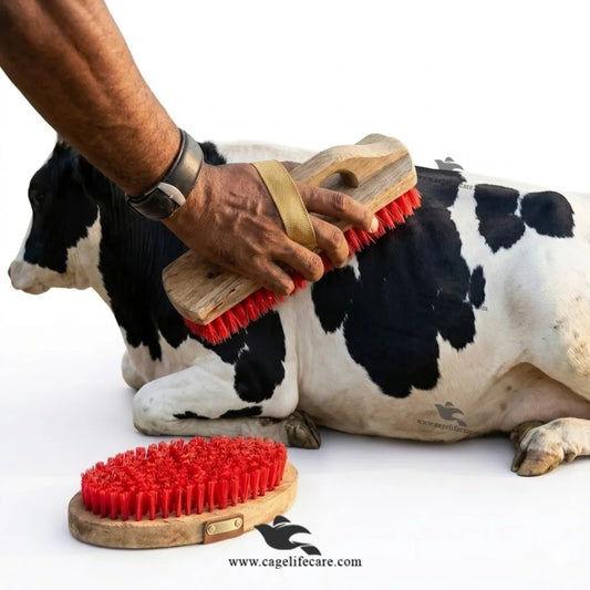 Wood massage handy brush for goats cattle cow horse