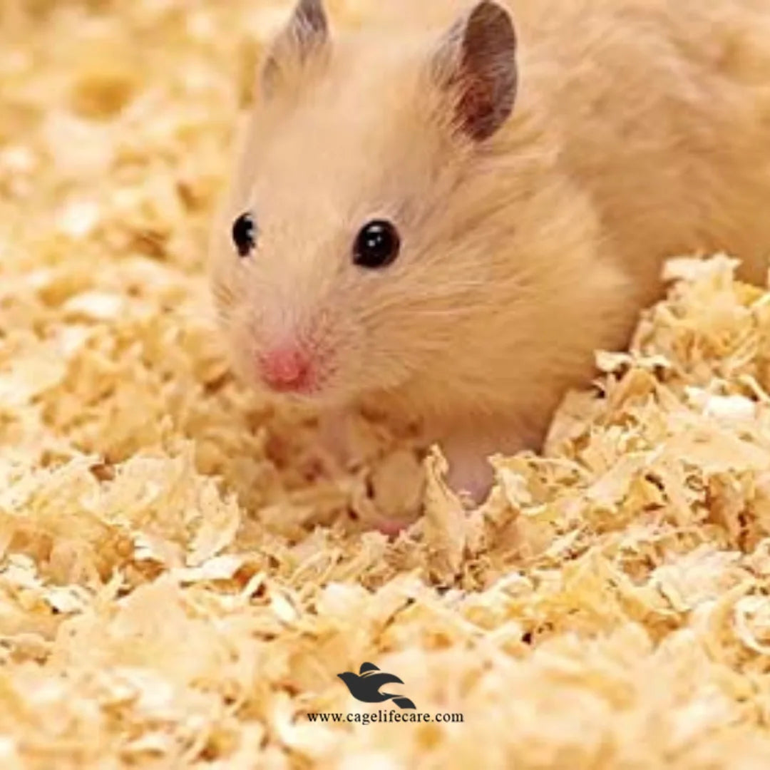 Wood Shaving for Birds Nesting & Pet Bedding – Natural, Dust-Free & Soft