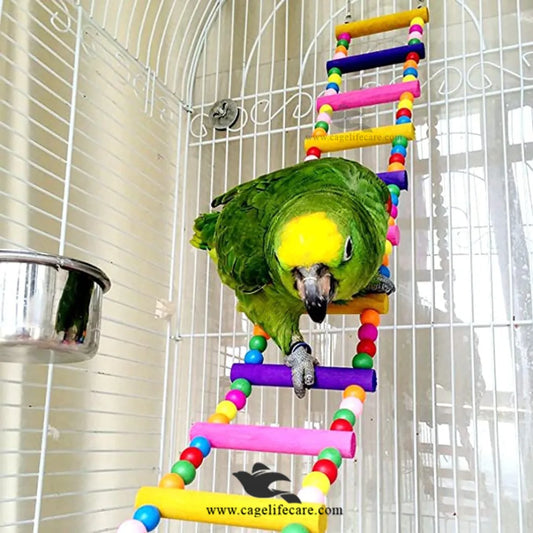 Wooden Ladder Bird Toy – Colorful Climbing Fun for Birds