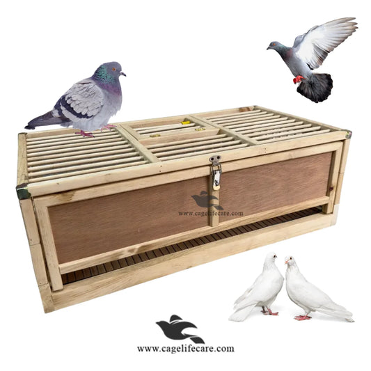 Foldable wooden tossing cage for pigeons